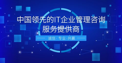 信息系統(tǒng)建設(shè)與服務(wù)體系評(píng)估 網(wǎng)絡(luò)融資信息咨詢的核心價(jià)值